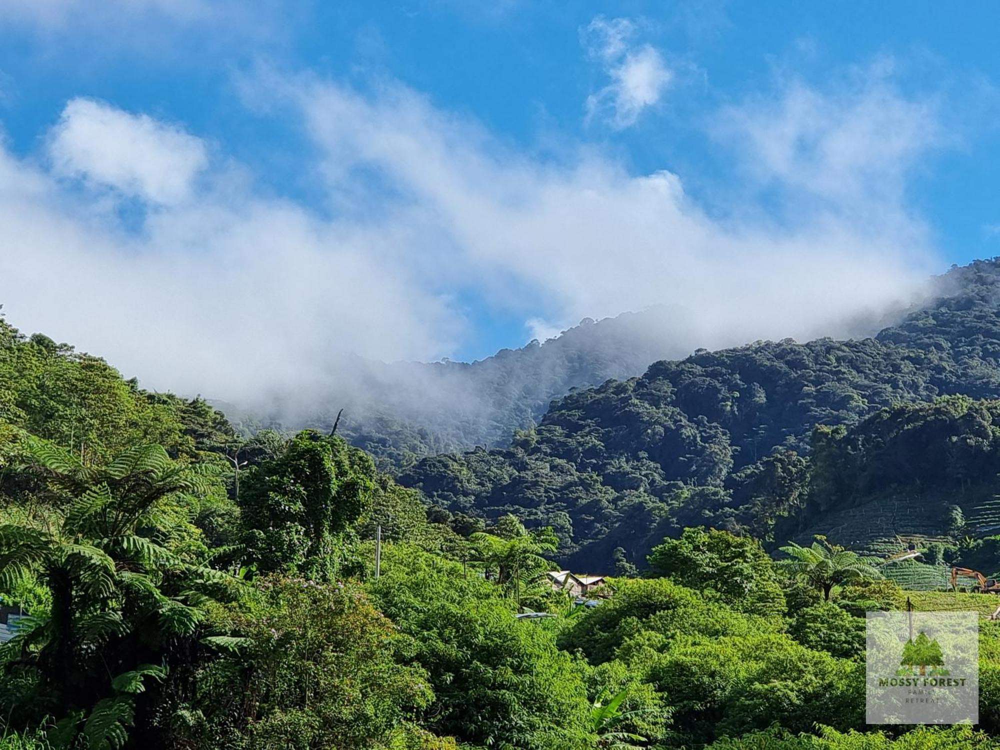 Mossy Forest Family Retreat Ii, 2-8 Pax, Cameron Highlands Eksteriør bilde