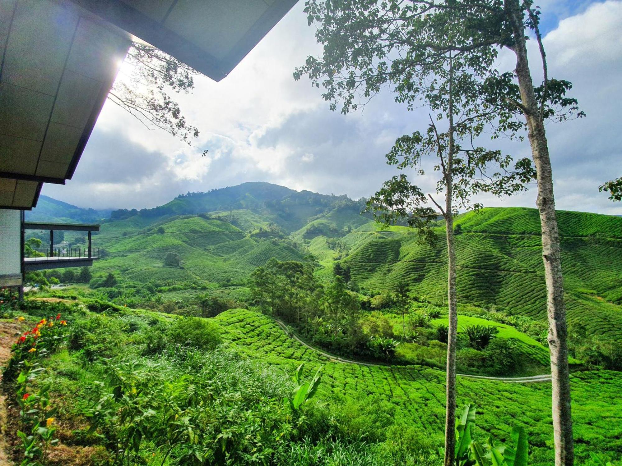 Mossy Forest Family Retreat Ii, 2-8 Pax, Cameron Highlands Eksteriør bilde
